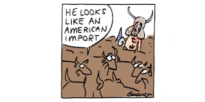  Illustration by Matt Golding