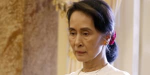 Australian UN expert condemns Suu Kyi as'fig leaf for genocide'