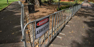 City of Sydney council was urged to test parks for asbestos a month ago