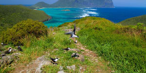 Between its wildlife and landscapes,Lord Howe Island offers plenty of photo opportunities.