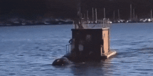 Floating sauna rescues Tesla passengers after it plunged into a Norwegian fjord