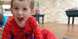 William Tyrrell,wearing his Spider-Man suit,disappeared without trace from Kendall in 2014.