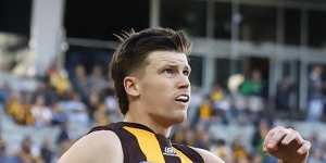 Hawthorn are missing Mitch Lewis,who has not played since round three. 