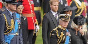 Prince Harry is becoming increasingly irrelevant to the royal family. 