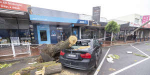 The aftermath of Tuesday night’s storm in Clayton,in Melbourne’s south-east. 