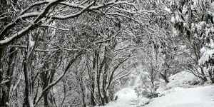 Snow at Falls Creek in Victoria ahead of the official opening of the ski season. 