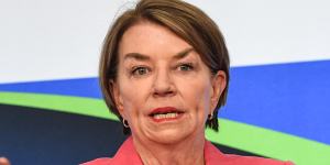 Anna Bligh,CEO of the Australian Banking Association,says the BCCC’s report has several shortcomings.