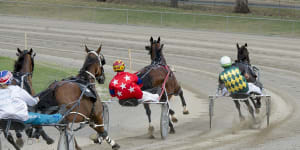 Canberra Cup winner Will Rixon has sights set on driver's premiership