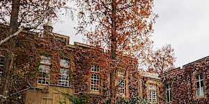 The University of Melbourne’s botany building:an appropriately leafy,strange place for parasite study.