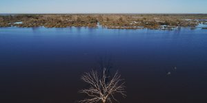 The Narran Lakes are a terminal wetlands in northern NSW,relying on flows from the Condomine-Balone system,one of the largest in the Murray-Darling Basin.