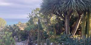The Hanbury Botanical Gardens feature drought-tolerant plants,including many succulents.
