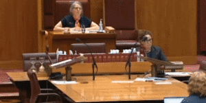 Shut it down:Lidia Thorpe at centre of Senate chaos