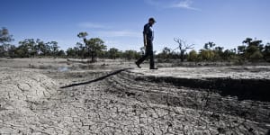 Murray-Darling water flows worsen despite $8.5 billion cash splash,analysis finds