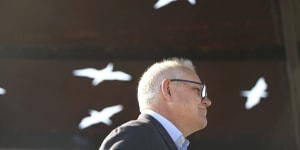 Morrison may strike a chord on identity politics but he’s wading onto contested ground