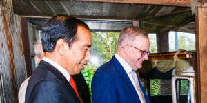 President Joko Widodo and Prime Minister Anthony Albanese ponder a Sumatran tiger.