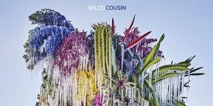 Wilco’s new album Cousin was released this month.