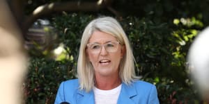 Domestic and family violence is an epidemic in NSW,says Police Minister Yasmin Catley.