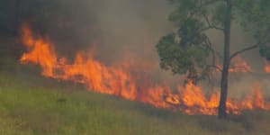 ‘Leave immediately’:Bushfires rage across Queensland