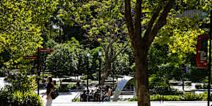 Students at the Macquarie University campus at the end of March.