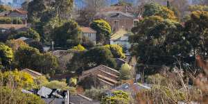 Surrey Hills.