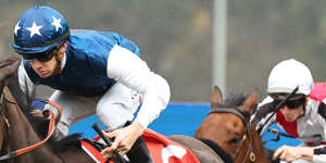 Wategos starts a winter preparation at Rosehill on Saturday that could lead to Brisbane.