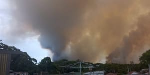 Police to investigate as South Coast national park fire treated as suspicious