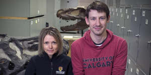 Darla Zelenitsky and Jared Voris with the bones he dusted off and identified as a new genus of dinosaur known as the Reaper of Death. 