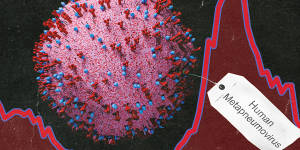 Index composite for story on human metapneumovirus