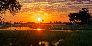 Sunset in the wildlife-rich Okavango Delta,Botswana.