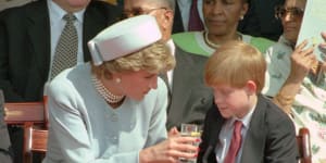 The late Princess Diana and Prince Harry in 1995.