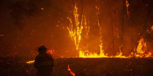 A firefighter battles an ember attack as a bushfire impacts a property in Mangrove Mountain.