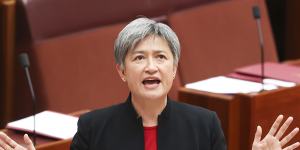 Labor leader in the senate Penny Wong.