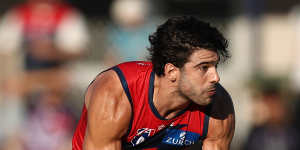 Petracca in action for the Demons during the pre-season.