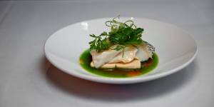 Steamed toothfish,silken tofu,ginger and spring onion.