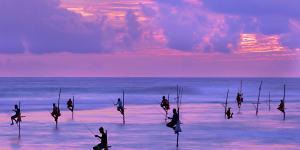 Fishermen on stilts at sunset,Sri Lanka.