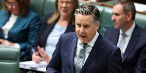 Health and Disability Minister Mark Butler.