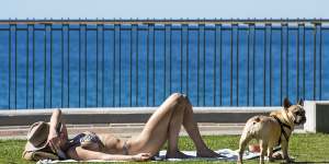 Heat records tumbling as Sydney’s winter comes towards its end