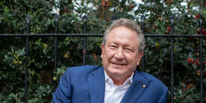 Andrew Forrest will advocate for green hydrogen at the climate summit.