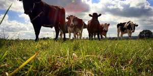 Help us to manage the environment,Queensland farmers ask government