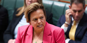 Attorney-General Michelle Rowland called the scheme “heartless and disastrous”.