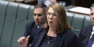 Transport Minister Catherine King is facing criticism across the political spectrum.