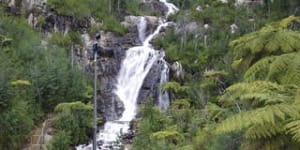 Steavensons Falls,Marysville.