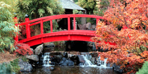 The Japanese garden and bridge at the Royal Botanical Tasmanian Gardens.