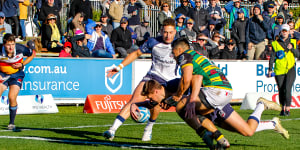 Injury worry for Eastwood as they outclass Gordon in Shute Shield