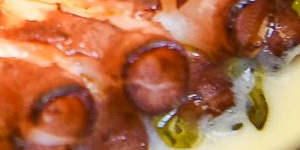 Octopus with harissa,potato and parsley.