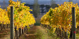 A one-stop shop of good wine,food and accommodation.
