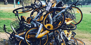 oBikes were found in a pile at Waverley Oval near Bondi Junction on Friday.