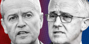 Polling gets personal:What voters really think of Malcolm Turnbull and Bill Shorten