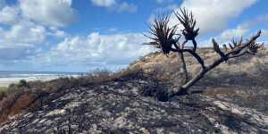 The Fraser Island fire scorched hectares of vegetation in late 2020.