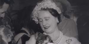 A picture of Princess Charlotte cuddling a koala,as the Queen Mother did at Lone Pine Sanctuary in 1958,could do wonders for Queensland tourism. 